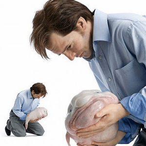 Meet your Posher, Haydn